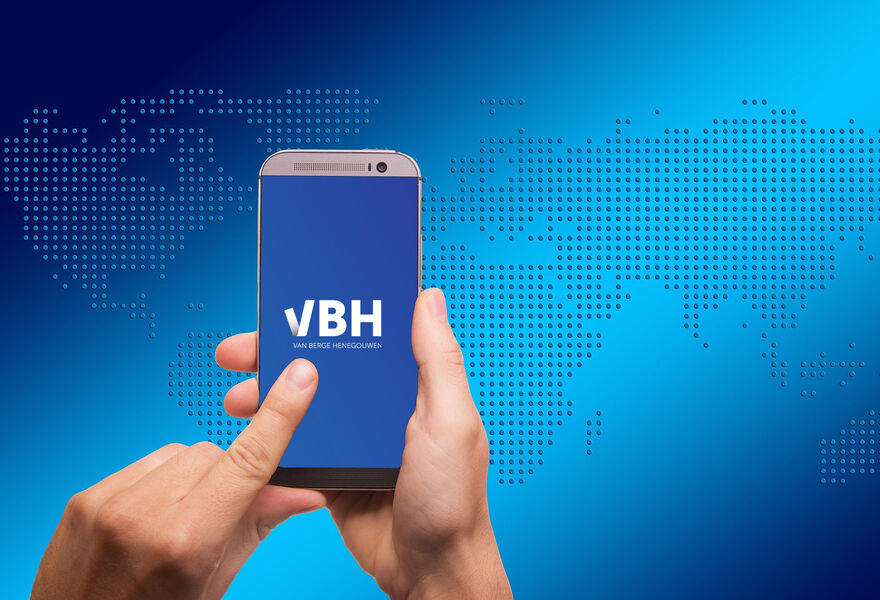 VBH Global